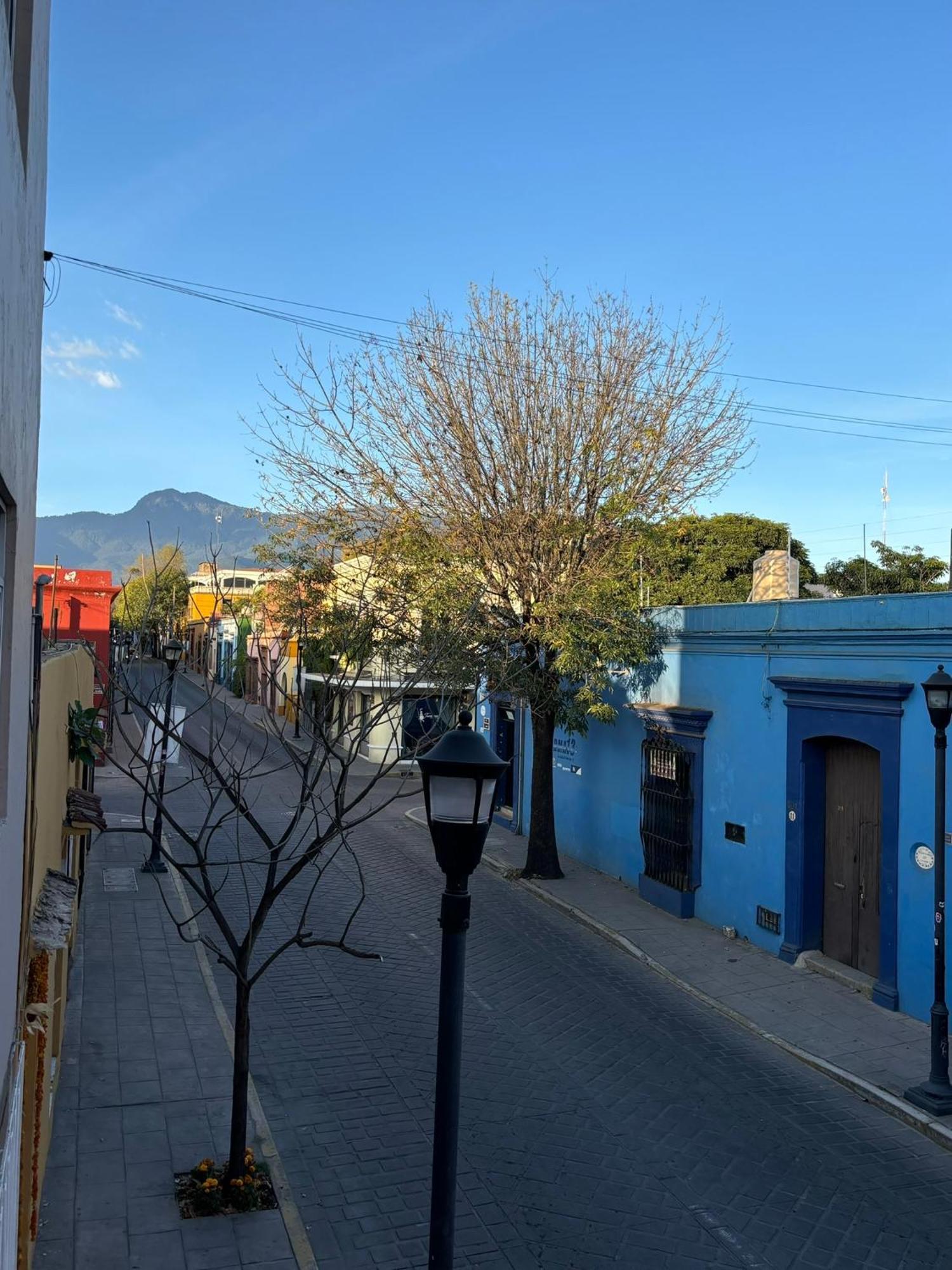 Appartamento Departamento En El Centro De Oaxaca Esterno foto